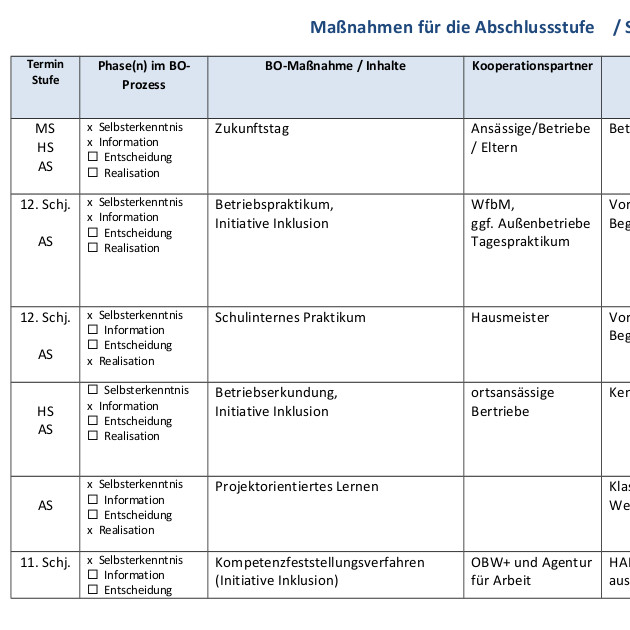 Download Berufsorientierungskonzept ALS